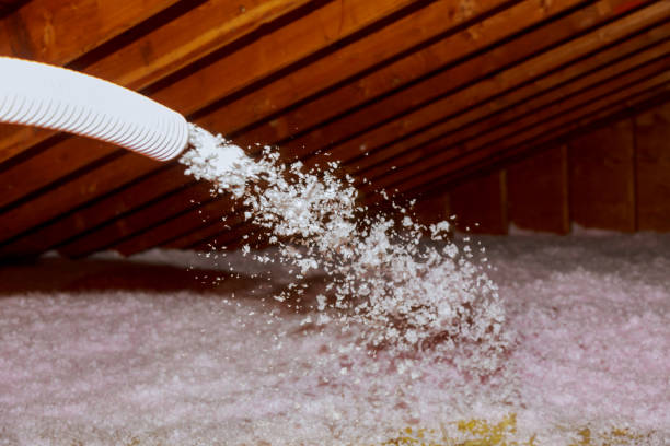 Best Spray Foam Insulation in Inverness, CO