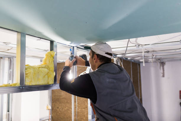 Best Fiberglass Insulation in Inverness, CO