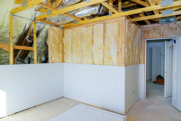 Best DIY Insulation Kits and Guidance in Inverness, CO