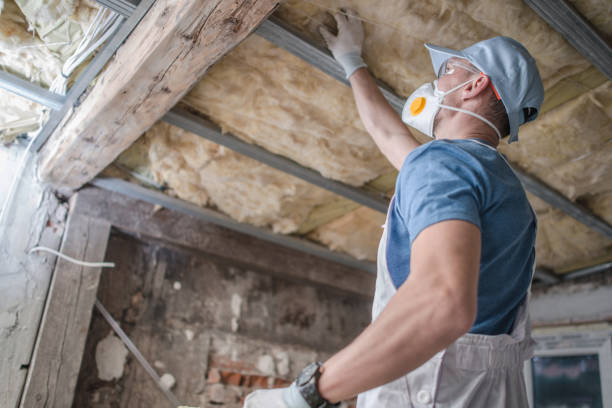 Best Cellulose Insulation in Inverness, CO
