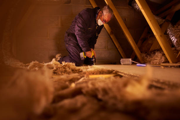 Professional Insulation Contractor in Inverness, CO
